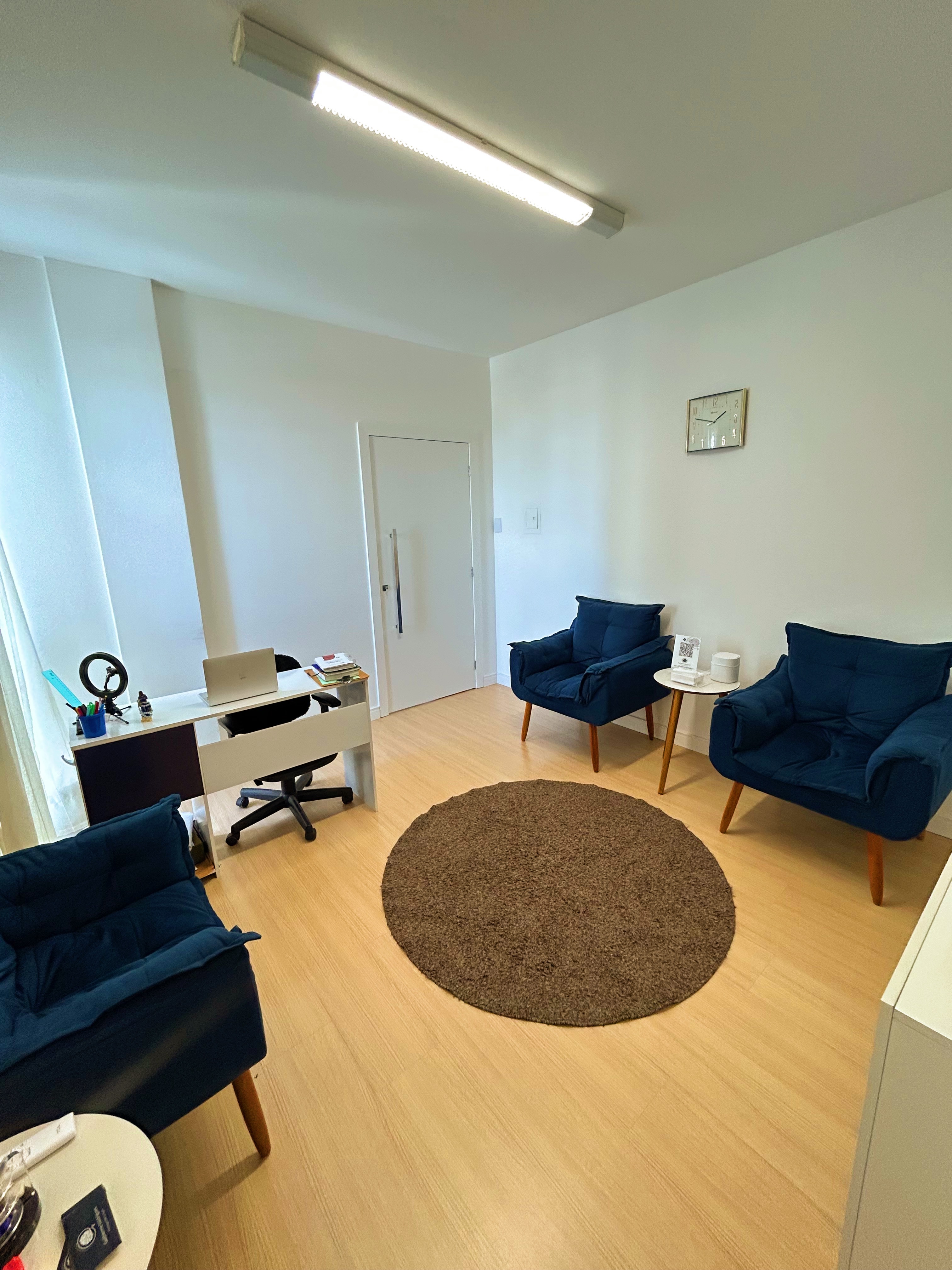 Consultório principal - ambiente acolhedor e profissional